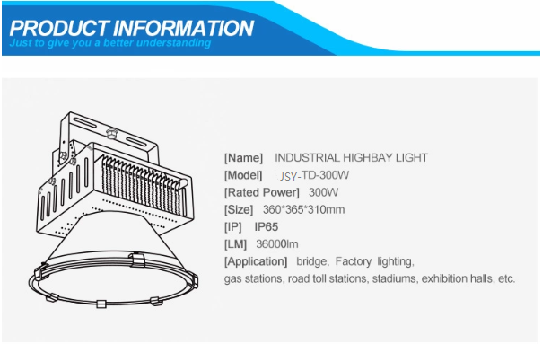 JSY-TD300